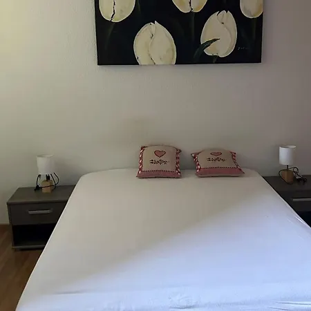 3 Pieces, 6 Pers, Proche Centre, Terrasse, Parking Châtel